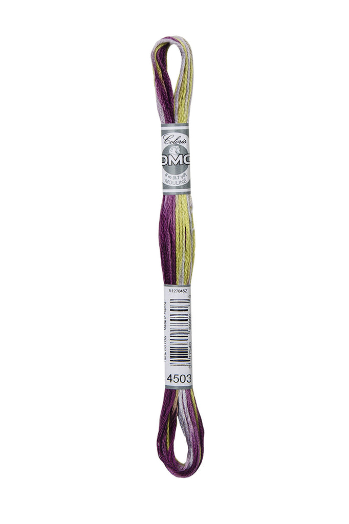 DMC Coloris 4503 - Wisteria