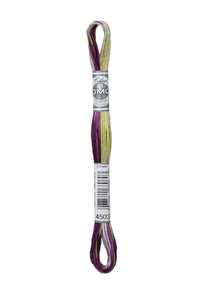 DMC Coloris 4503 - Wisteria