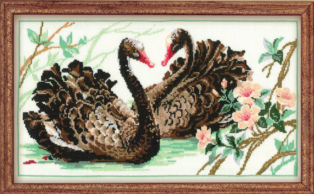 Ducks 806