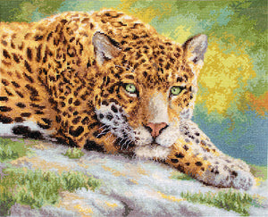 Peaceful Jaguar